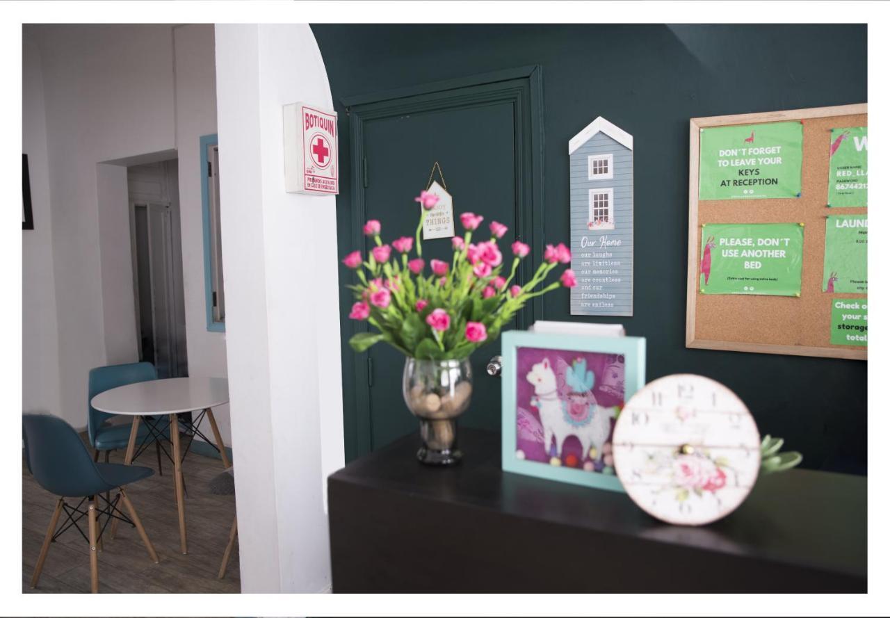 Red Llama Eco Hostel Lima Dış mekan fotoğraf