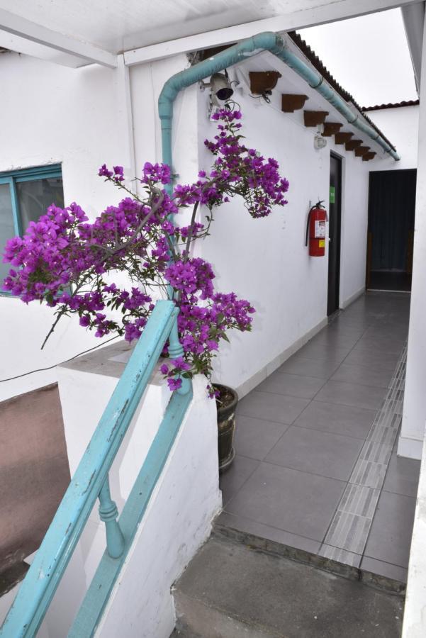 Red Llama Eco Hostel Lima Dış mekan fotoğraf