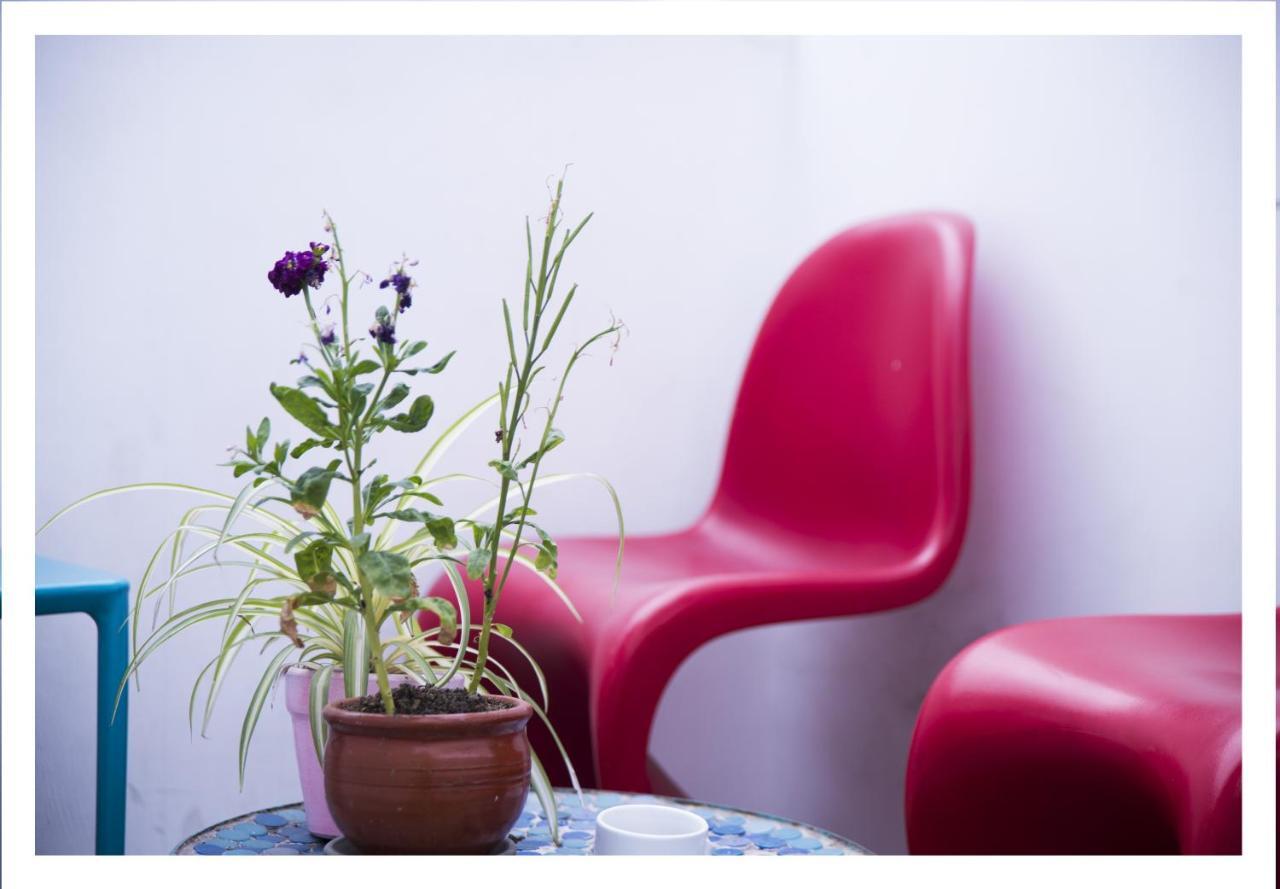 Red Llama Eco Hostel Lima Dış mekan fotoğraf
